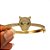 Bracelete de Tigre Banhado em ouro 18k - Imagem 2