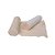 Atadura Algodão Ortopédico 10Cm X 1,0M Pct C/12 - Cremer - Imagem 3