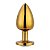PLUG ANAL DE AÇO DOURADO COM JOIA P M G INICIANTE AVANÇADO - Imagem 9