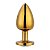 PLUG ANAL DE AÇO DOURADO COM JOIA P M G INICIANTE AVANÇADO - Imagem 6