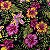 Chita Maxi FLoral Selvagem Fundo Preto - Imagem 1