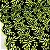 Layse Bordada Fundo Preto Com Floral Verde Neon - Imagem 1