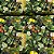 Tricoline Digital Estampada Folhagens Verde Com Frutas - Imagem 2