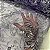 Tule Bordado Spangle Soho 7 - Imagem 3