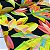 Viscose Digital Nacional Barrado Fundo Preto com Floral Graudo - Imagem 3