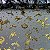 Organza Halloween Fundo Preto com Gato, Bruxas, Aboboras e Morcego Dourado - Imagem 2
