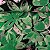 Viscose Estampada Fundo Preto com Floral Graudo Verde e Rosa - Imagem 1