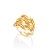 Anel Fortuna 558 Ouro - Imagem 1
