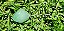 Chaveiro dos Milagres Imediatos Chaline Grazik - Pedra Natural Quartzo Verde - Imagem 1