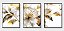 Kits quadro decorativo com gravura - Imagem 1