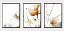 Kits quadro decorativo com gravura - Imagem 2