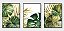 Kits quadro decorativo com gravura - Imagem 5