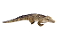 Pelúcia Antialérgica Crocodilo Jacaré 96 cm DM - Imagem 2