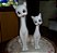 Par de GATOS em cerâmica - Imagem 1