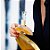 Perfume Marina Bourbon Classique 100ml Original Lacrado - Imagem 2