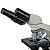Microscópio Biológico Binocular com Ampliação de 40x até 1000x, Óptica Plana, Iluminação LED e Suporte para Bateria Recarregável - TIM-18-PL - Imagem 4
