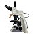 Microscópio Biológico Trinocular com Sistema de Epi-fluorescência - TNI-60-TF - Imagem 4