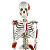 Esqueleto  85cm com Inserções Musculares e Ligamentos - TGD-0112-AL - Imagem 7