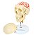 Crânio com Coluna Cervical e Cérebro 13 Partes - TGD-0103-F - Imagem 5