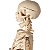 Esqueleto 85 cm - TGD-0112 - Imagem 3