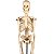 Esqueleto 45 cm - TGD-0121 - Imagem 2