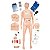 Manequim Bissexual Treinamento Habilidades Enfermagem e ACLS - TZJ-0512 - Imagem 1