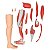 Manequim Muscular Masculino 170 cm Órgãos Internos 32 Partes - TZJ-4001-A - Imagem 5