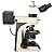 Microscópio Petrográfico Trinocular 40-600x Obj. Planas Infinitas - TNP-91-NT-INF - Imagem 2