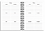 Agenda Canção Nova 2026 São Miguel Arcanjo - Imagem 6