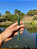 Vela Palito Verde Escuro 18cm kit 10 Unidades - Imagem 3