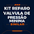 KIT DE REPARO DA VÁLVULA DE PRESSÃO MÍNIMA - SIMILAR ATLAS COPCO - 2906095900 - Imagem 1