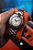 Relógio Spinnaker Spence 300 Off White Automático SP-5097-66 - Imagem 6