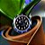 Bottom Impala 50th - Imagem 2