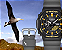 G-Shock Galápagos - Imagem 4