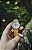 AVI-8 Flyboy GMT - Imagem 2