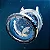 Spinnaker Hass Limited Edition - Imagem 4