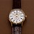 Orient Special Calibers - Imagem 8