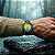 Spinnaker Fleuss Limited Edition - Imagem 5