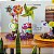 Decoração na Caixa Mãe Colorida (P) - Imagem 4