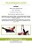 Fita De Alongamento Less Now Fisioterapia Yoga Ou Pilates - Imagem 2