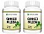 Kit 2 Ginkgo Biloba 120 Cápsulas 500 mg Status Verde - Imagem 1