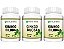 Kit 3 Ginkgo Biloba 360 Cápsulas 500 mg Status Verde - Imagem 1