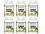 Kit 6 Ginkgo Biloba 720 Cápsulas 500 mg Status Verde - Imagem 1