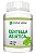 Centella Asiática 120 Cápsulas - 500mg Status Verde - Imagem 1