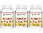 Kit 3 Equinácea 360 Cápsulas - 500 mg Status Verde - Imagem 1