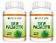 Kit 2 Saw Palmetto 240Cáps 500mg Status Verde - Imagem 1