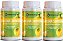 Kit 3 Garcinia Cambogia 180Cáps 500mg Status Verde - Imagem 1