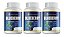 Kit 3 Blueberry 360 Cápsulas 500 mg Status Verde - Imagem 1