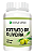 Kit 12 Extrato de Oliveira 1440 Cápsulas 500 mg Status Verde - Imagem 1