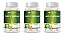 Kit 3 Óleo de Orégano 360  Cápsulas 1400mg Status Verde - Imagem 1